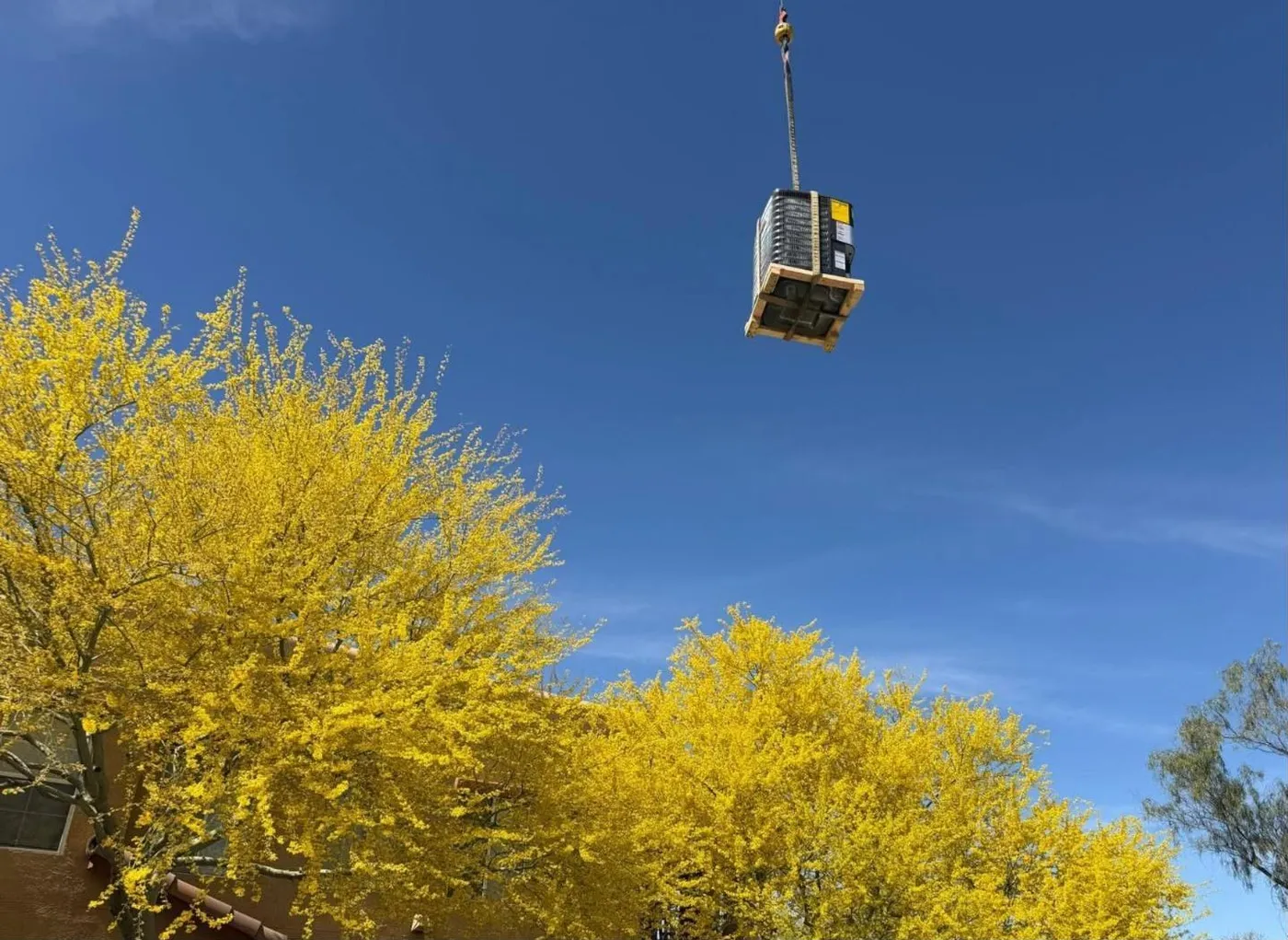 New AC condenser lifted over blooming palo verde trees